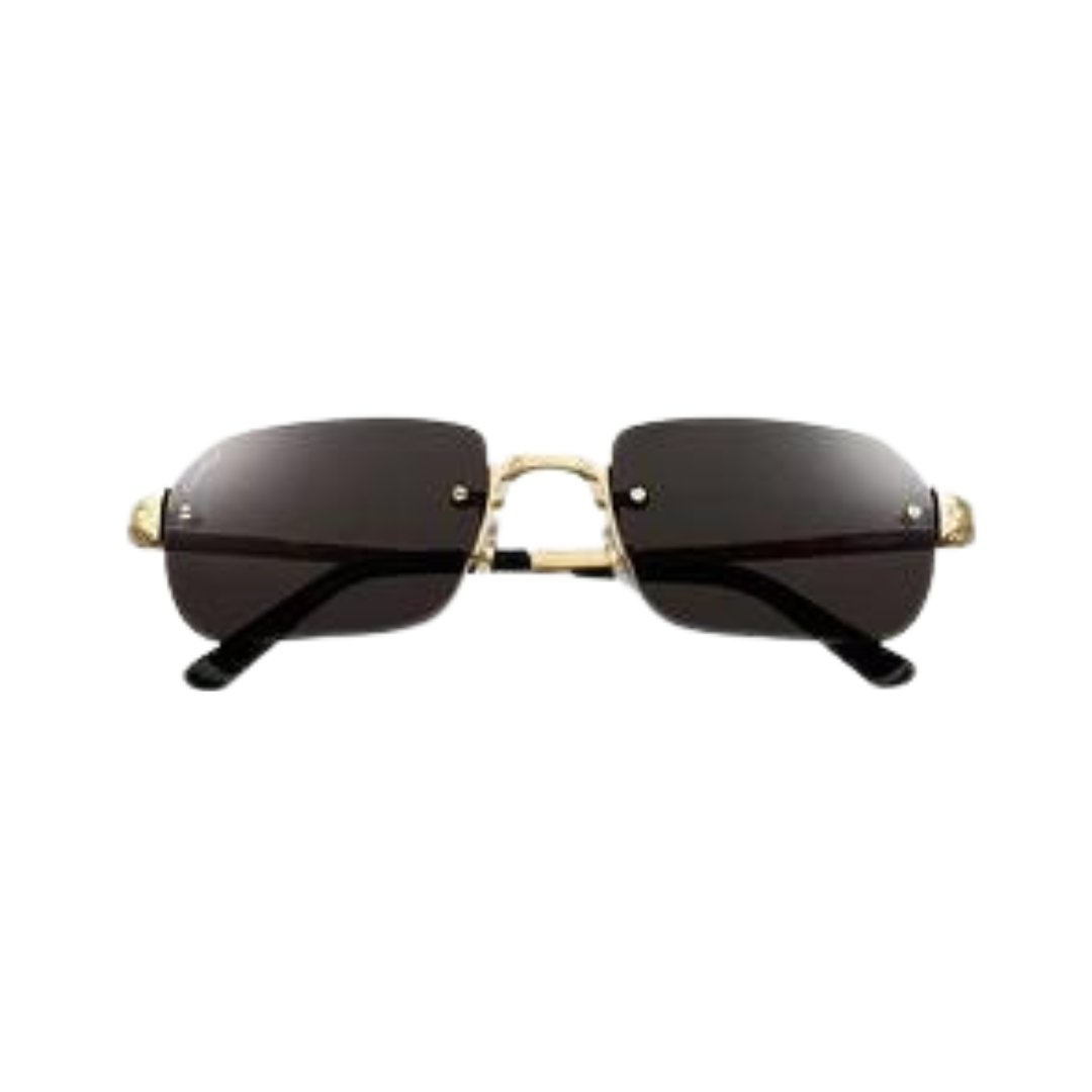 CARTIER Santos de Cartier sunglasses