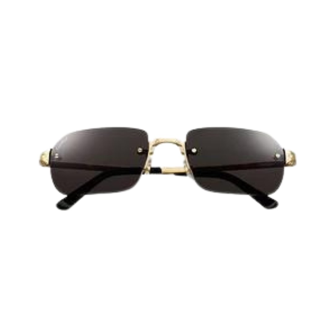 CARTIER Santos de Cartier sunglasses
