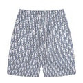 Dior Silk Gray Shorts