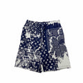 Louis Vuitton Monogram Bandana Shorts