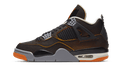 Air Jordan 4 Starfish