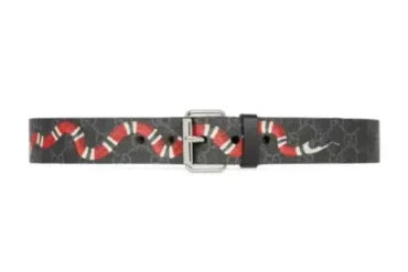 BELT – GCI