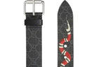BELT – GCI
