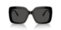 Swarovski — SK6001 Sunglasses — Black